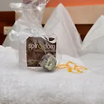 Hotel Spirodom 3*